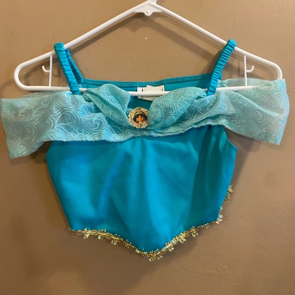 Disney Parks Princess Jasmine Costume size Large 10/12